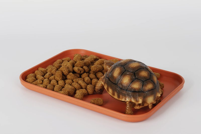 WOLEDOE Reptile Large Water Dish, Tortoises Food Bowl - S (9.5 * 6.7 * 0.6) - Image 4